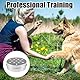 WhizNook 10 Stück Hundeduft-Trainingsbox, Training Hundeduft Nase Geruchsbehälter Runde Dose Metalldosen, Trainingsgeräte Hundeduft mit Belüftungslöchern, für das Welpendufttraining