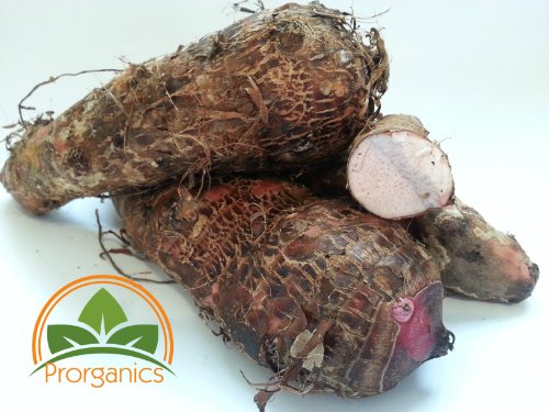 1 Lb Organic Yautia Lila, Rhizome Xanthosoma by Prorganics