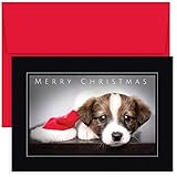 Masterpiece Studios Holiday Collection Boxed Christmas Cards, Puppy, 18 Cards/18 Envelopes