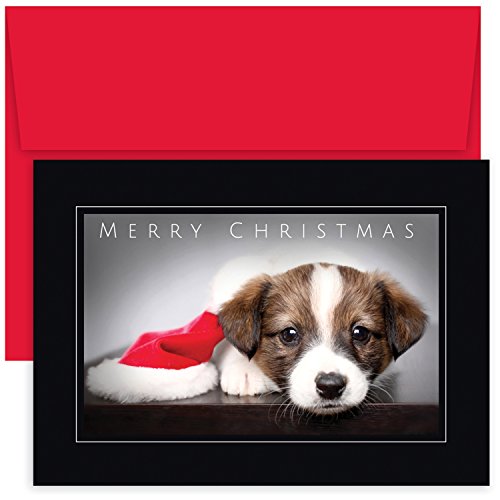 Masterpiece Studios Holiday Collection Boxed Christmas Cards, Puppy, 18 Cards/18 Envelopes