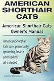 American Shorthair Cats. American Shorthair care, personality, health, grooming and feeding all included. American Shorthair Cats
