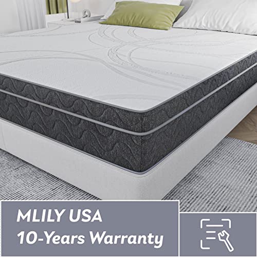 Ego Hybrid 10 Inch Queen Mattress, Cooling Gel Infused Memory Foam And Individual Pocket Spring Mattress, Made In Usa, Mattress In A Box, Certipur-Us Certified, Medium, 80"X60" #TOP5