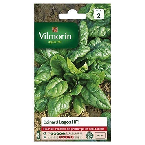 bolsa de semillas Espinaca Lagos HF1 Vilmorin
