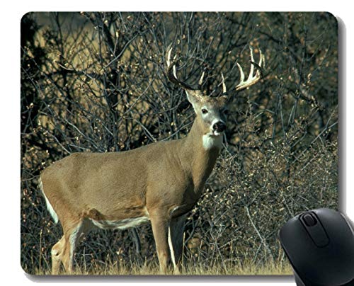 fXNgbvpA`Xbv}EX}bgAIWWJ - Xeb`GbW