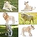 Toymany 6PCS White Lion Figurines with Lion Cubs, 2-5