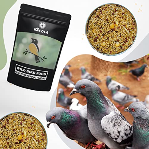 Image of Wild Bird Food Mix Seeds - Nourishing Sparrows, Finches, Pigeons & Wild Birds (1 Kg) For All Life Stages