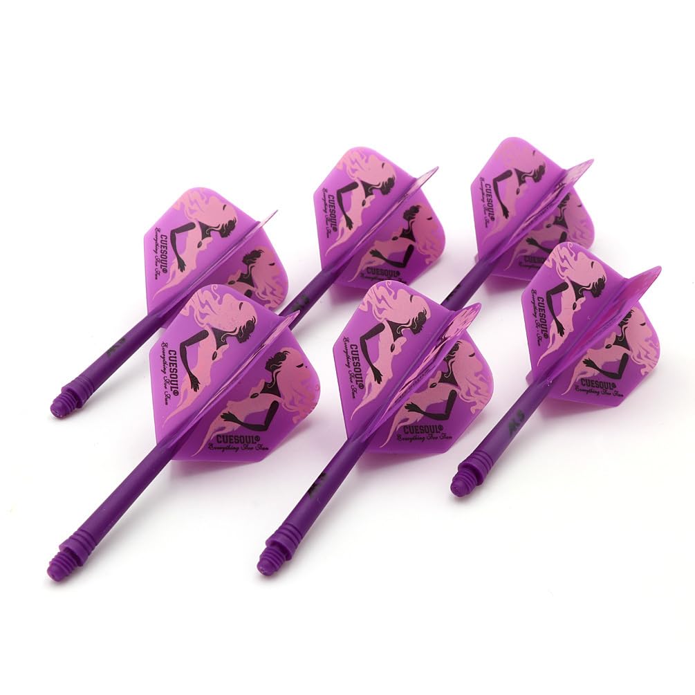 CUESOUL 6 Piezas Rost Eje de dardo Integrado y Plumas