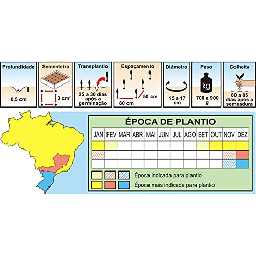 Sementes de Couve Flor Piracicaba de Verão Pcte C/ 100 Gramas