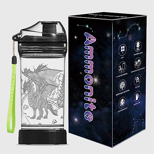 Bouteille d'eau en Tritan sans BPA avec effet veilleuse dragon 3D