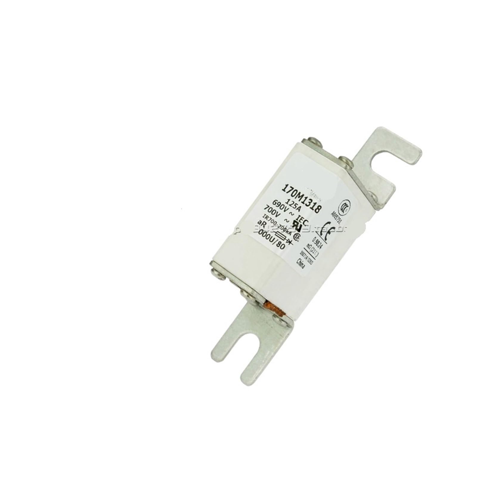 UWUKCJOKQ 170M1318 170M1319 170M1320 170M1321 170M1322 Fuse