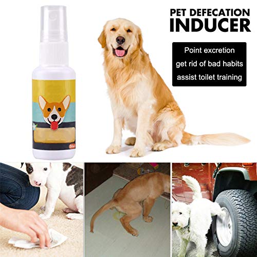 Ardorman Hundetöpfchen-Trainingsspray, Haustier Toilette Trainingshilfespray, Hundetoiletten Trainingsspray Induktor, Welpentraining-Spray Hundekatze