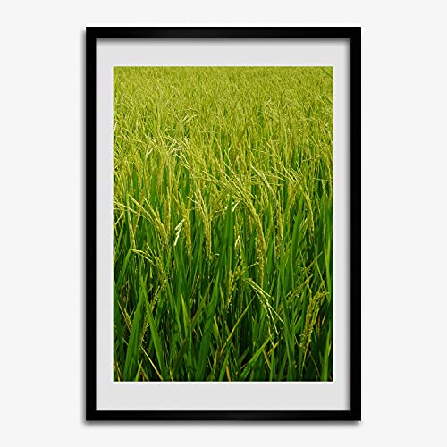 Cadre en bois 50x70 cm Tulup affiche decorative moderne tableau peinture photo riz
