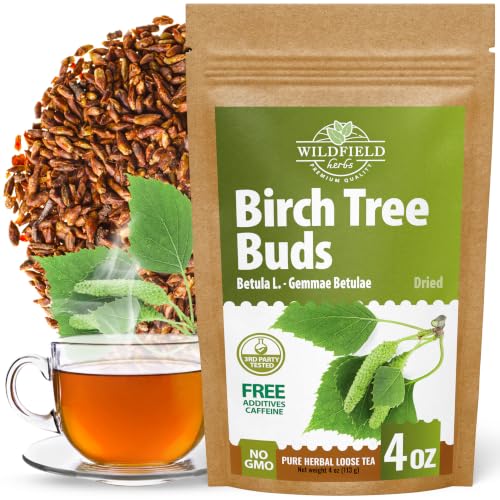 4 oz. Birch Tree Buds Herbal Tea (Betulae Gemmae) - 113g Dried Birch Tree Buds Betula Pendula Herb Tea Hojas Te De Abedul