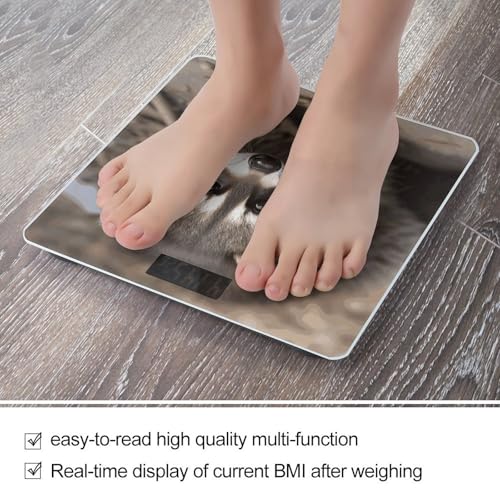 Báscula Digital de Baño Cub Raccoon para Peso Corporal miniatura 5