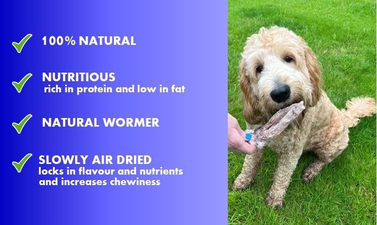 UK Air Dried Rabbit Ears with Fur x 180g for Dogs - 100% Natural Treats - Grain & Gluten Free, 180 g (Pack of 1) - Image 2
