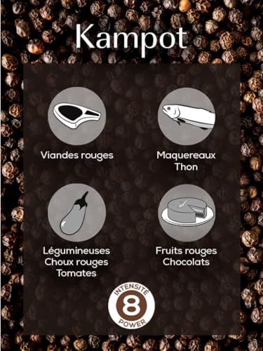 PEUGEOT – Premium-Pfeffer- und Salz-Set – Schwarzer Kampot-Pfeffer, Wilder Voatsiperifery-Pfeffer, Rosa Andensalz – Frischebeutel – 2x60 g und 7x50 g