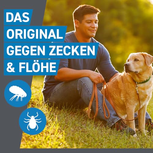 FRONTLINE Spot ON Hund M gegen Zecken, Flöhe & Haarlinge (10 bis 20 kg) - 6X Pipetten für bis zu 6 Monate Schutz - wasserfest