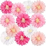 12 Pcs Pink Tissue Paper Flowers Daisy Tissue Paper Pom Poms Party Decorations Spring Party Decoration Paper Flowers Decorations for Wall Backdrop Garden Wedding Decor