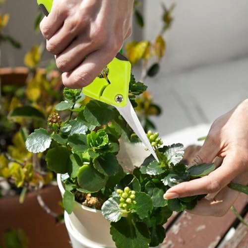 Tijeras de Jardín Micro Punta Green MEKBOK miniatura 7