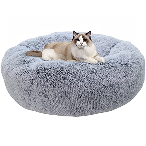 Calm Your Dog with UK's Top Calming Beds!