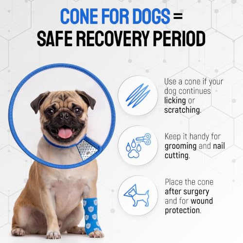 Image of SILVER GRADE Protective Dog Cone Collar for Recovery, Size L, 14.2-16.5 in
