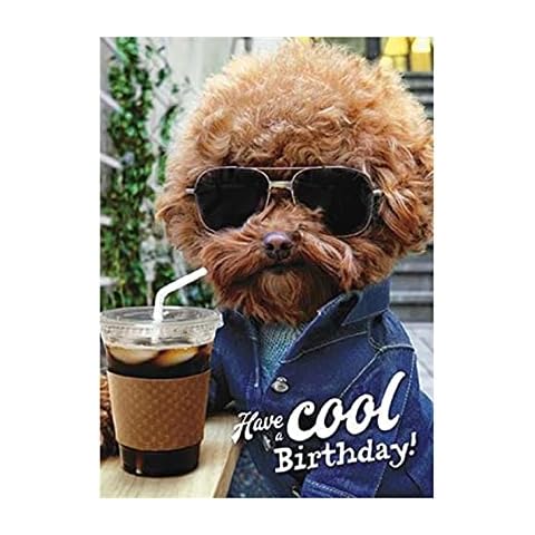 Humorous Male/Female Birthday Card from The Avanti Range - Dog Wearing Sunglasses, Coffee, Shades, Chill - Greeting Card for Him/for Her (GBCC-AVEDH0017) Cover
