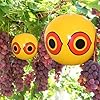 MorTime 3PCS Balloon Bird Repellent, 24" Inflatable Decoy with Reflective Eyes to Deter Birds from Garden, Pool, and Outdoor Areas
