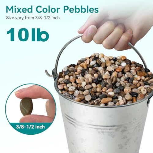 Image of 10 lbs Pebbles for Indoor Plants, Vase, Succulent, 3 /8 inch Gravel for Plants, Pots Indoor, Bamboo Rocks for Bamboo Plants, Decorative Small River Rock, Highly Polished