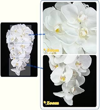 Amazon｜□胡蝶蘭キャスケードブーケ 白/ピンク 結婚式 ウェディング