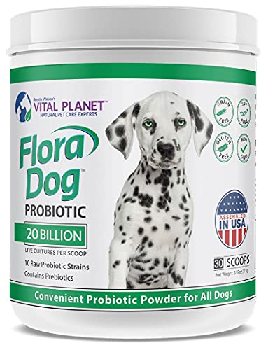 Vital Planet - Flora Dog Powder Probiotic Supplement with 20 Billion Cultures and 10 Strains, High Potency Immune and Digestive Support Probiotics for Dogs, 3.92 oz, 111 Grams, 30 Servings