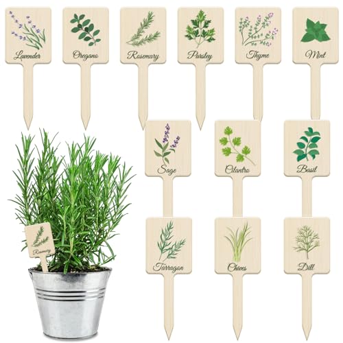 UPINS 24Pcs Acrylic Plant Labels Herb Plant Markers Plant Tags Signs with Printed Name for Indoor Outdoor Gardens Herbs Seedlings Plants