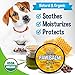 Bodhi Dog Paw Balm - Lick Safe - USDA Organic, Naturally Heals Dry, Cracked Pads - Protects, Restores, & Relieves Chapped Paws - Better Than Paw Wax (2oz)