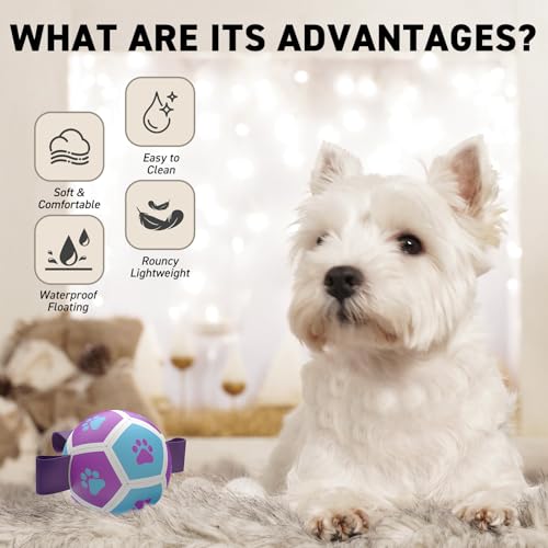 Image of QDAN Small Dog Toys, Puppy Balls, Dog Balls with Straps for Small Breed | 3.5 Inch Small Soccer Ball for Dogs, Puppy Toys for 3-15 lbs Dogs, Dog Birthday Gift, Herding Ball for Small Dogs, Purple