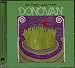 The Hurdy Gurdy Man -  Donovan