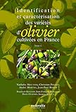 varietes oliviers espagne  Identification et caractérisation des variétés d\'olivier cultivées en France, tome I