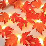 Herbst Dekoration Lichterkette, MUSUNIA 3M 20LED Ahornblätter Lichterkette Batteriebetrieben mit Timer, Künstliche Ahornblatt Herbst Girlande für Halloween,Herbst,Kürbis,Erntedankfest,Innen Außen Deko