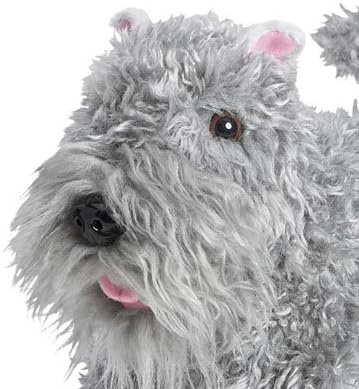 Marie-Grace's Dog, Argos