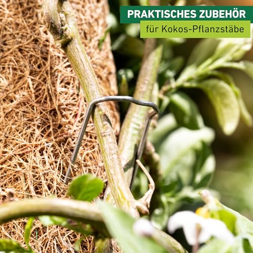 Windhager Pflanzenstecker für die Befestigung von Pflanzentrieben an Kokos-Pflanzstäben, 50 Stück, 06194, metallic