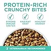 Purina ONE Sensitive Stomach, Sensitive Skin, Natural Dry Cat Food, +Plus Sensitive Skin and Stomach Formula - 16 lb. Bag #1