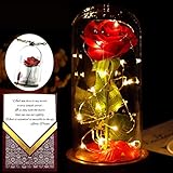 Beauty and the Beast Rose in a Glass Dome With Necklace and Love Letter | Everlasting Belle Rose