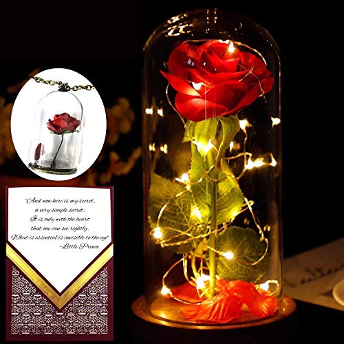Beauty and the Beast Rose in a Glass Dome With Necklace and Love Letter | Everlasting Belle Rose