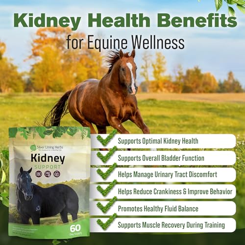 image for Silver Lining Herbs Kidney Support Supplement for Horses - Horse Suppl