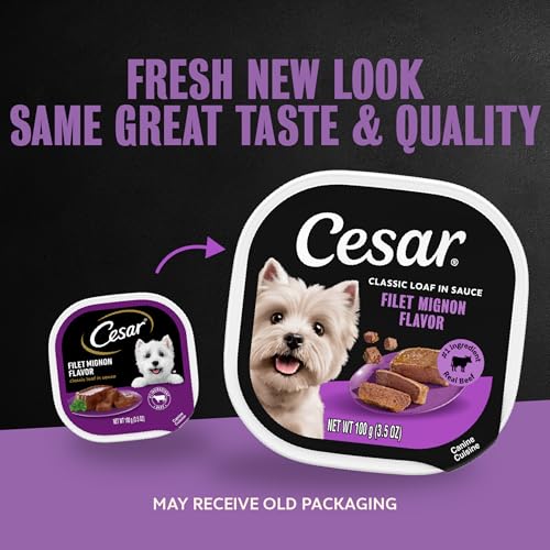 Image of Cesar Classic Loaf in Sauce Wet Dog Food, Filet Mignon, 3.5 oz, 24 Count | Made in USA, Real beef #1 ingredient, no fillers /added sugar /artificial flavors, use as meal or topper, easy peel trays