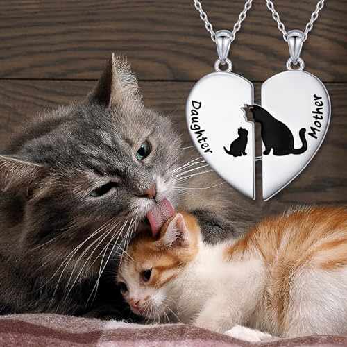 DAOCHONG S925 Sterling Silver Mother Daughter Set 2 Granddaughter Family Heart Pendant Necklace Jewelry from Dad Mom Grandmother Son Birthday4