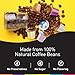 Bestpresso Coffee for Nespresso Original Machine 120 pods Certified Genuine Espresso Variety Pack includes one pack of decaf coffee, Pods Compatible with Nespresso Original