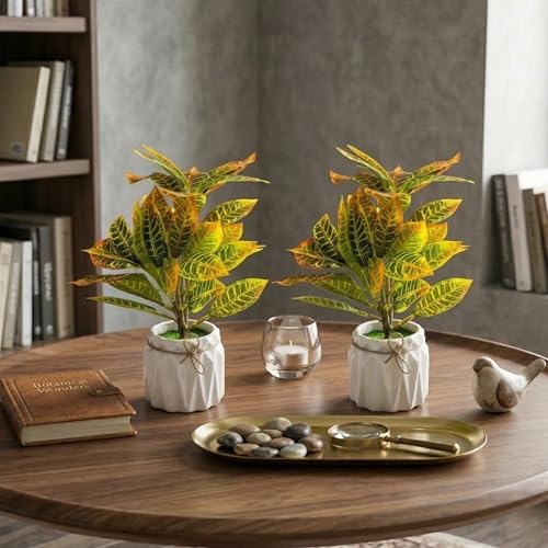 Image of Dekorly Artificial Lavender Plant in White Pot, 18cm - Realistic Faux Flower Arrangement for Home & Office Decor (Set of 1) (2, Croton Plant)