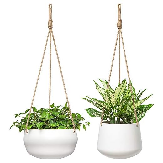 17 Foxtail Fern Ideas to Transform Your Home and Garden 2 Mkono Ceramic Hanging Planter of Shallow 8 Inch and Deep 6 Inch for Indoor Outdoor Plants, Set of 2 Modern Plant Pot Geometric Porcelain Hanging Basket with Polyester Rope Hanger