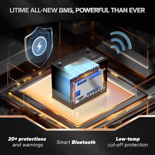 Litime 12V 100AH GROUP 24 BLUETOOTH Lifepo4 Battery, Deep Cycle Lithium Battery, Built-In 100A Bms With Low-Temp Protection, Max. 15000 Cycles, Perfect For Rv thumb #2
