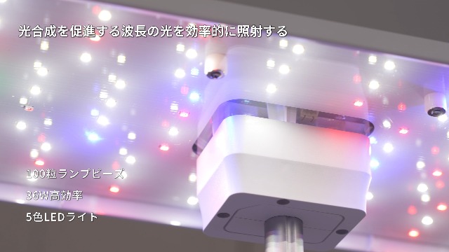 Amazon.co.jp: JustSmart 水耕栽培キット 室内 水耕栽培 おしゃれ 家庭