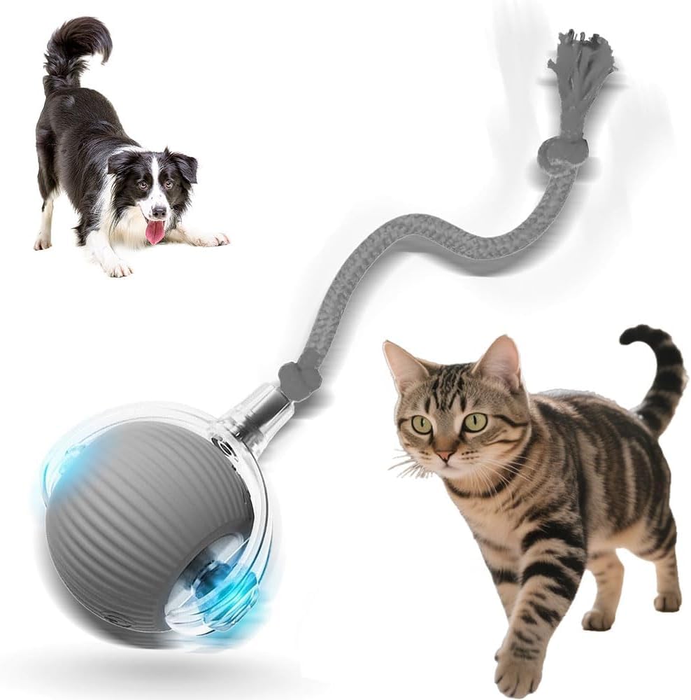 Interactive Cat Toys for Indoor Cats 2026 New Motion Activated Cat Balls with 360 Smart Automatic Rolling Moving